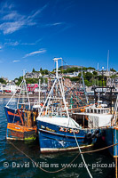 Fishing boats, Oban.